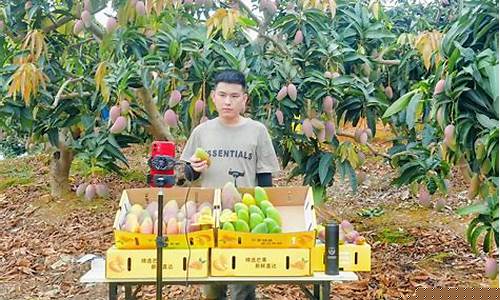期货芒果直播间(芒果tv直播间在哪里)_https://www.wguangz.com_上期所_第1张
