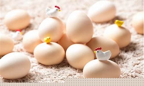 七月鸡蛋期货直播视频(鸡蛋期货为什么七八月不交割)_https://www.wguangz.com_广期所_第1张