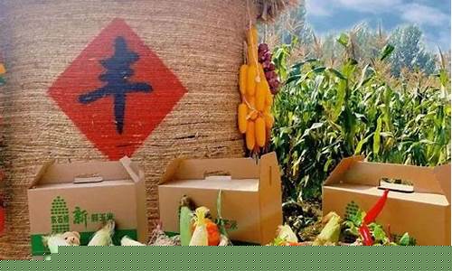 2009期货玉米直播视频(玉米2009期货行情)_广期所_第1张_财经网 2009期货玉米直播视频(玉米2009期货行情)_https://www.wguangz.com_广期所_第1张