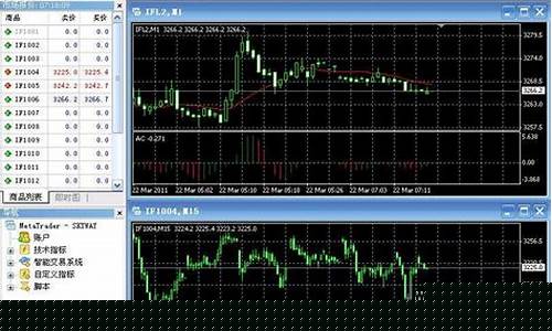 股指期货 模拟 软件(股指期货模拟软件)_https://www.wguangz.com_郑商所_第1张