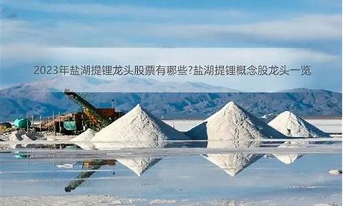 盐湖提锂股票(盐湖提锂股票龙头股)_大商所_第1张_财经网 盐湖提锂股票(盐湖提锂股票龙头股)_https://www.wguangz.com_大商所_第1张