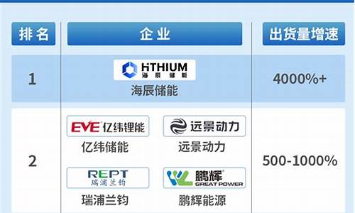 锂电回收龙头企业排名(锂电回收行业)_https://www.wguangz.com_大商所_第1张