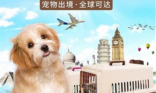 宠物托运快递公司哪家便宜(宠物托运哪家公司好)_https://www.wguangz.com_上期能源_第1张