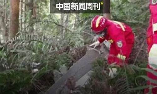 央视财经直播梧州空难(梧州空难新闻直播)_https://www.wguangz.com_郑商所_第1张