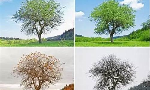 什么东西一年四季都能卖(什么东西一年四季都能卖还暴利)_https://www.wguangz.com_上期所_第1张