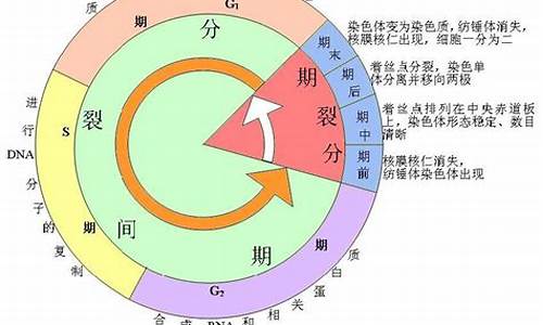 什么叫连续三个周期(三个周期是三年吗)_https://www.wguangz.com_上期所_第1张