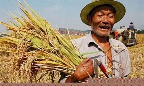 2024粮价马上要大涨了真的吗(今日玉米一斤价格表)_https://www.wguangz.com_郑商所_第1张
