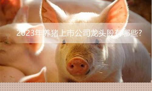 养猪龙头股票有哪些(中国养猪三巨头)_https://www.wguangz.com_中金所_第1张