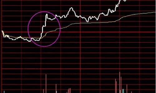 分时线怎么看图解(分时线的含义)_https://www.wguangz.com_广期所_第1张